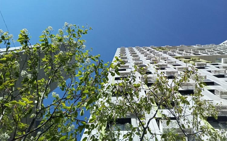 Est-a-Tet: Свободно. Стильно. Уверенно. Жилые комплексы бизнес-класса рядом с конными клубами Москвы