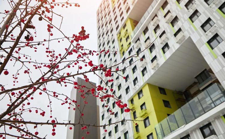 Квартира для семьи с подростком: как выбрать и что учесть?