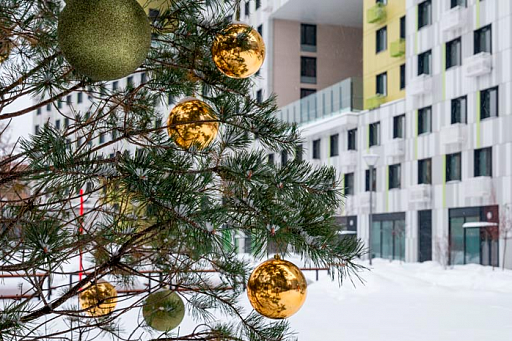 Здравствуй, елка - Новый год: увлекательные праздничные шоу прямо у порога вашего дома