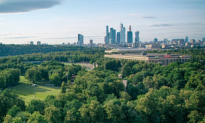 Самые зеленые районы Москвы